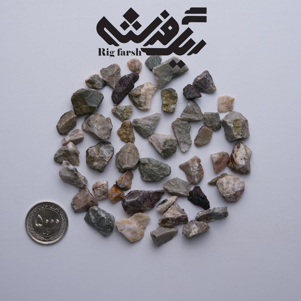 جنگلی