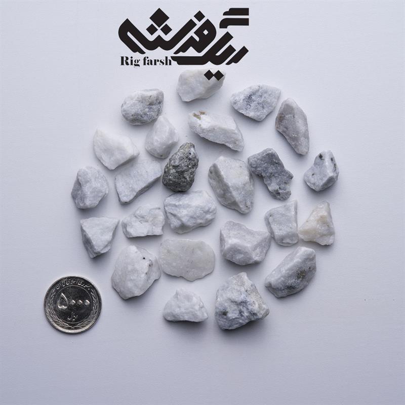 سفید صدفی4